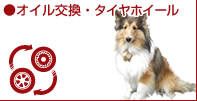 オイル交換・タイヤホイール